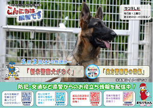 チラシサムネイル