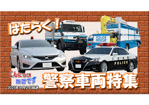 番組サムネイル