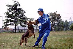 警察犬の写真１