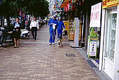 警察犬の写真2