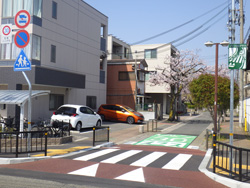 ゾーン30プラス